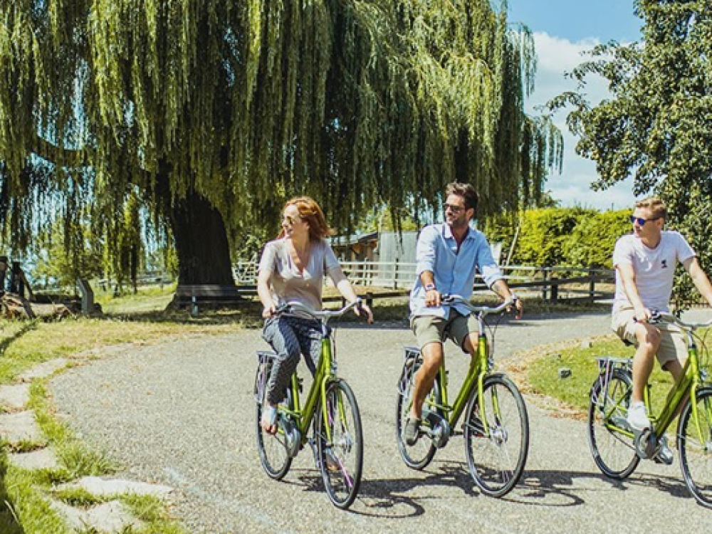 Fietsen en zoeken